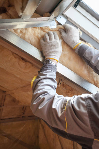 Best Commercial Insulation in Olton, TX