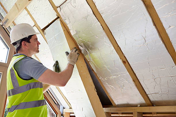 Best Spray Foam Insulation in Olton, TX
