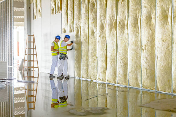 Professional Insulation Contractor in Olton, TX